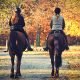 Integratori autunnali per cavalli: la cura del cavallo tramite l’uso di integratori per cavalli in autunno
